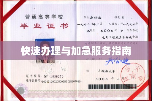 谯城快速办理与加急服务指南