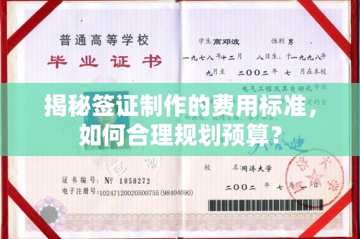 谯城揭秘签证制作的费用标准，如何合理规划预算？
