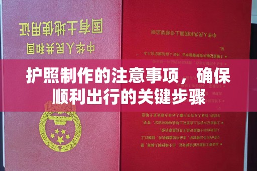 谯城护照制作的注意事项，确保顺利出行的关键步骤