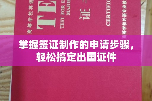 谯城掌握签证制作的申请步骤，轻松搞定出国证件