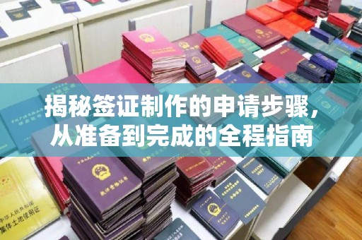 谯城揭秘签证制作的申请步骤，从准备到完成的全程指南