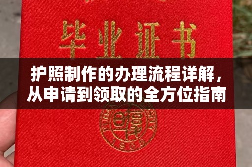 谯城护照制作的办理流程详解，从申请到领取的全方位指南