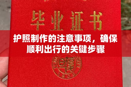 谯城护照制作的注意事项，确保顺利出行的关键步骤