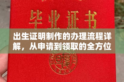 谯城出生证明制作的办理流程详解，从申请到领取的全方位指南